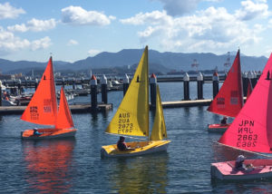 3 Singles - Yellow #AUS 2873 Thomas Drivas (Vincentia High School Support Unit)